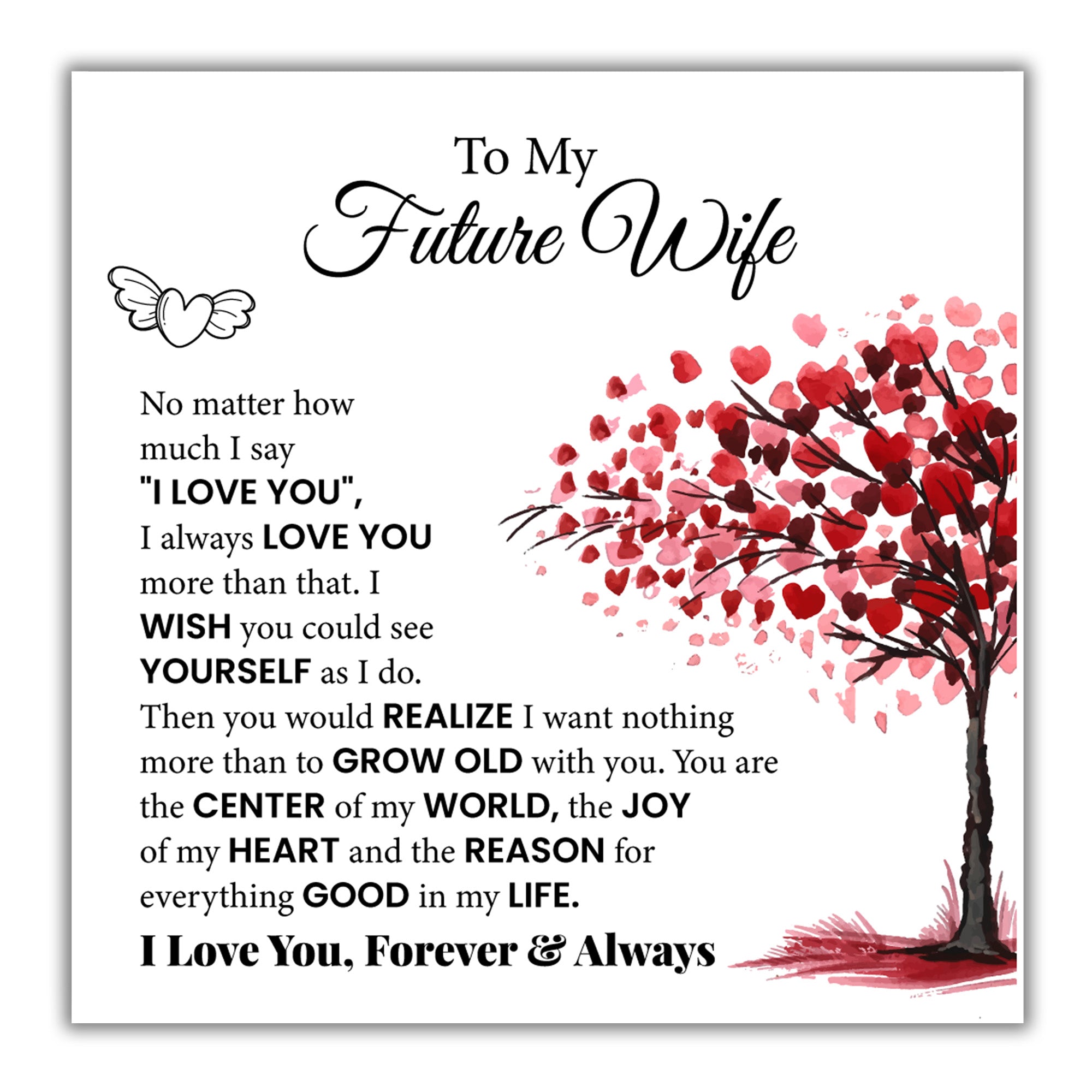 TRYNDI™ To My Future Wife Birdcage Necklace With Authentic Swarovski Crystals