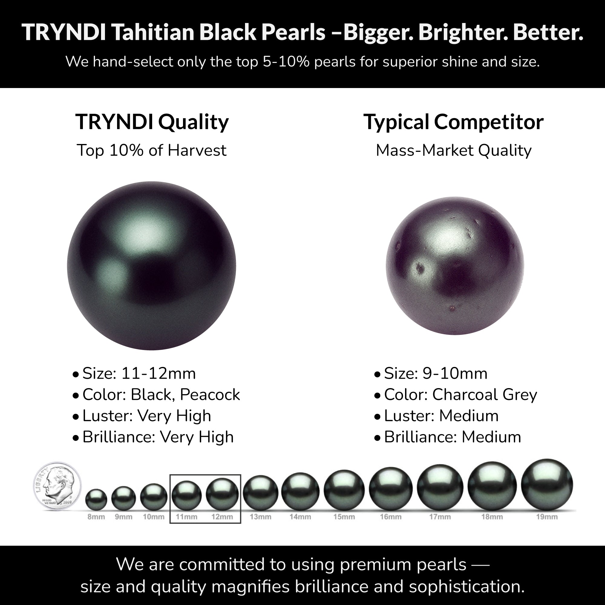 Tahitian Black Pearl Circle Necklace