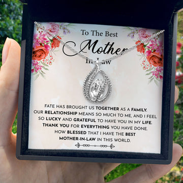 To My Best Mother-in-law - Our Relationship Means So Much To Me - Orbital Birdcage Necklace